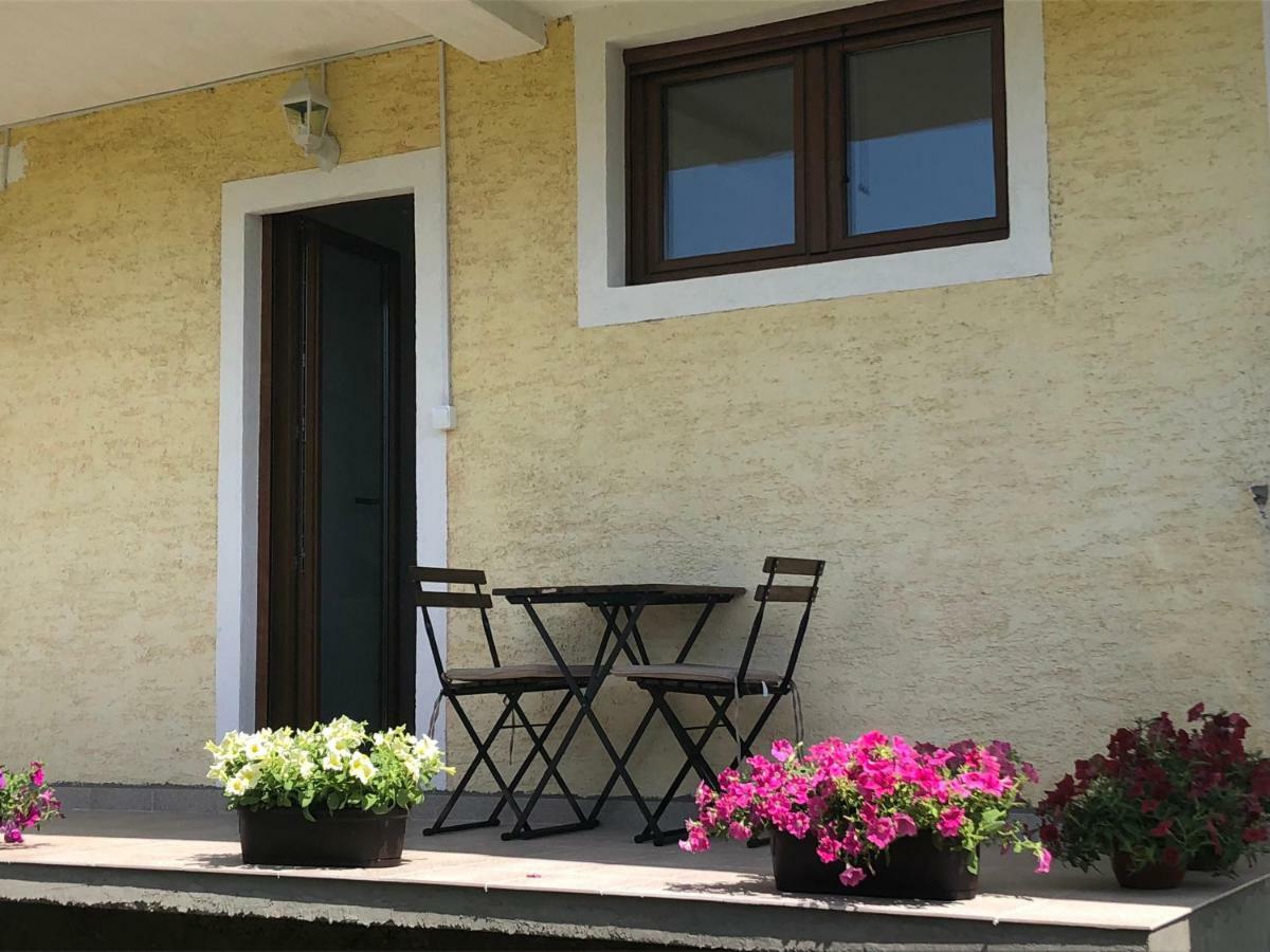 Visitor Yard Bed & Breakfast Plav Exterior photo